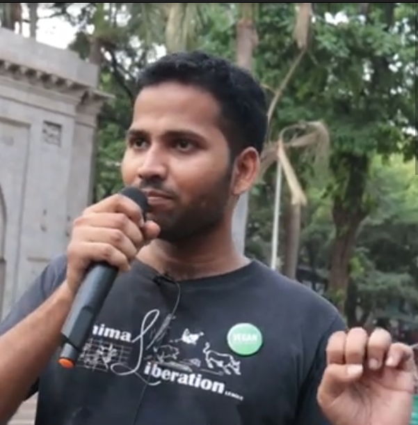 International Animal Rights Day: Laws against animal cruelty need to be stricter