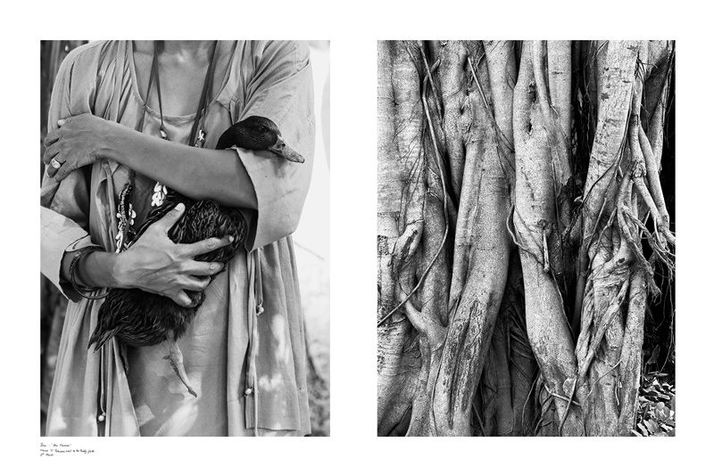 Photo by Sheetal Mallar.