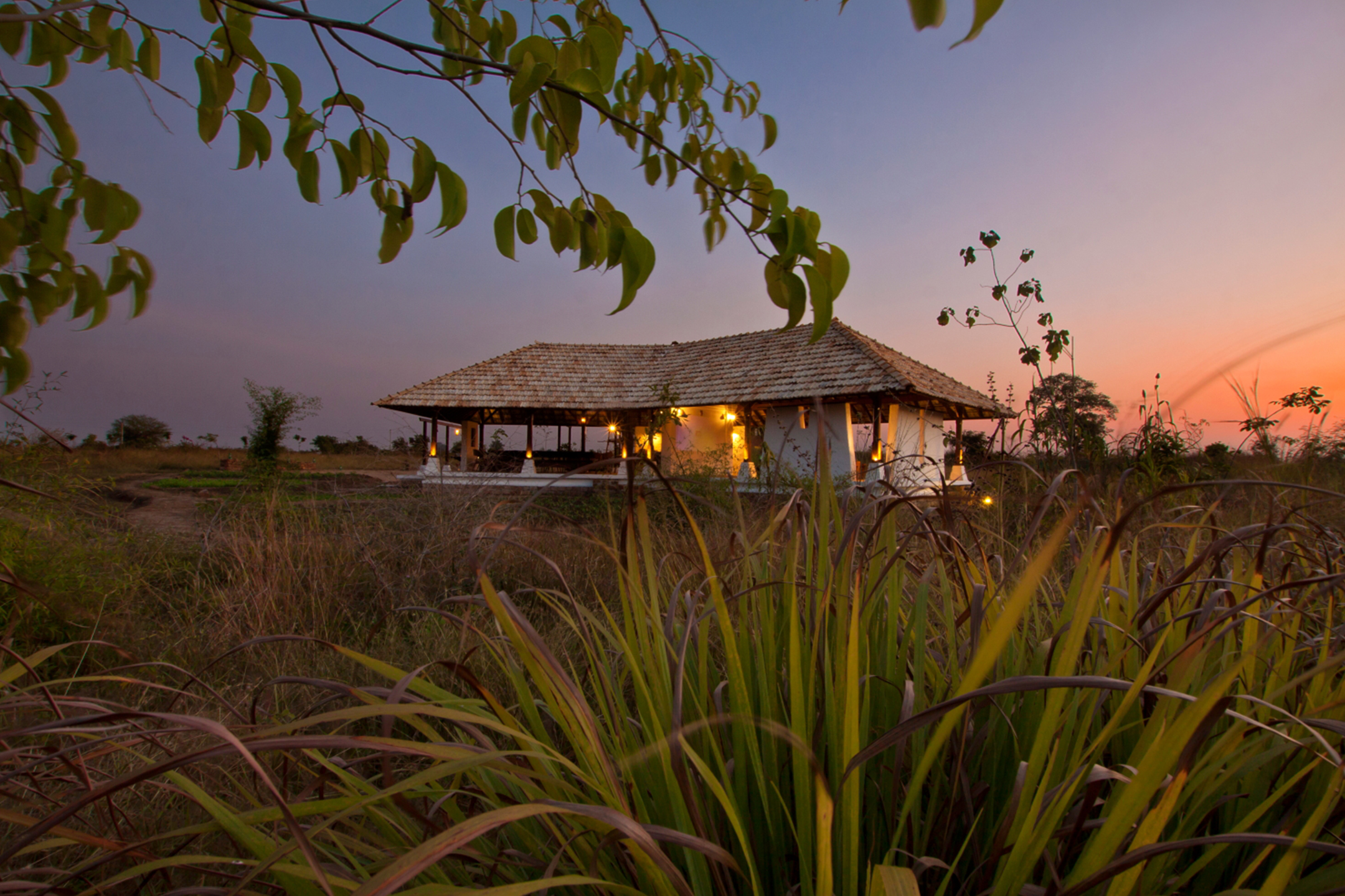 Svasara Jungle Lodge 