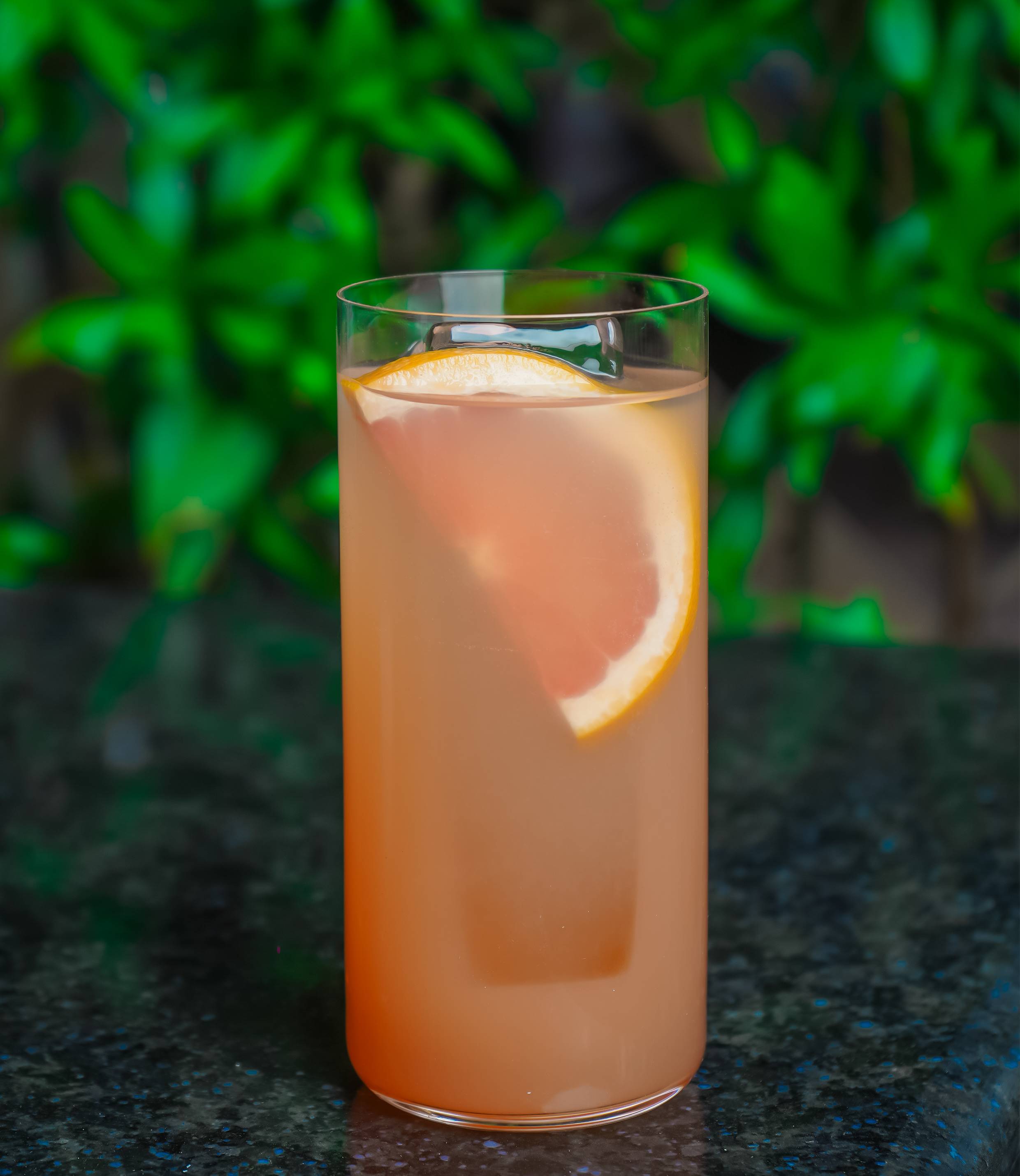 The Paloma