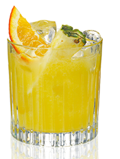 Tanqueray Gin _ Juice