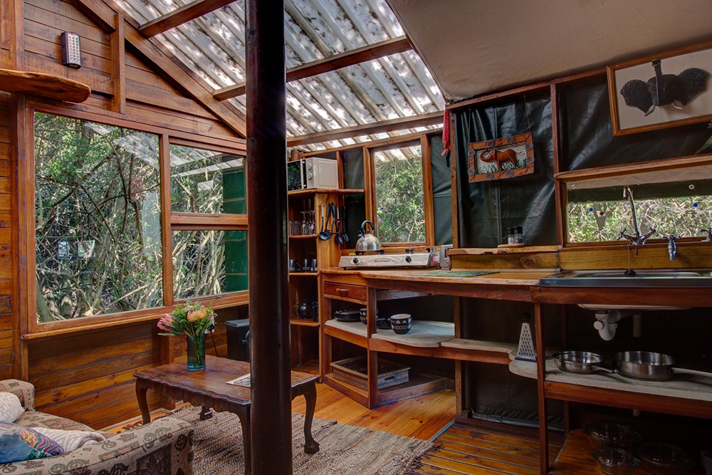 Teniqua Treetops, Western Cape