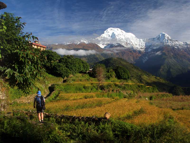 Tiger Mountain Pokhara Lodge 