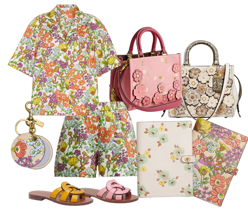 Tropical Escape with Coach