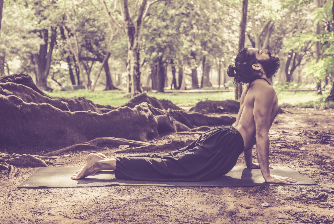 Urdhva Mukha Svanasana