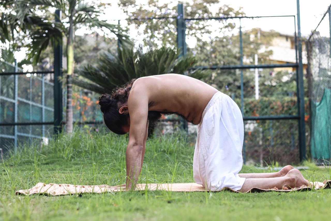 Urdvha Mukhi Marjariasana