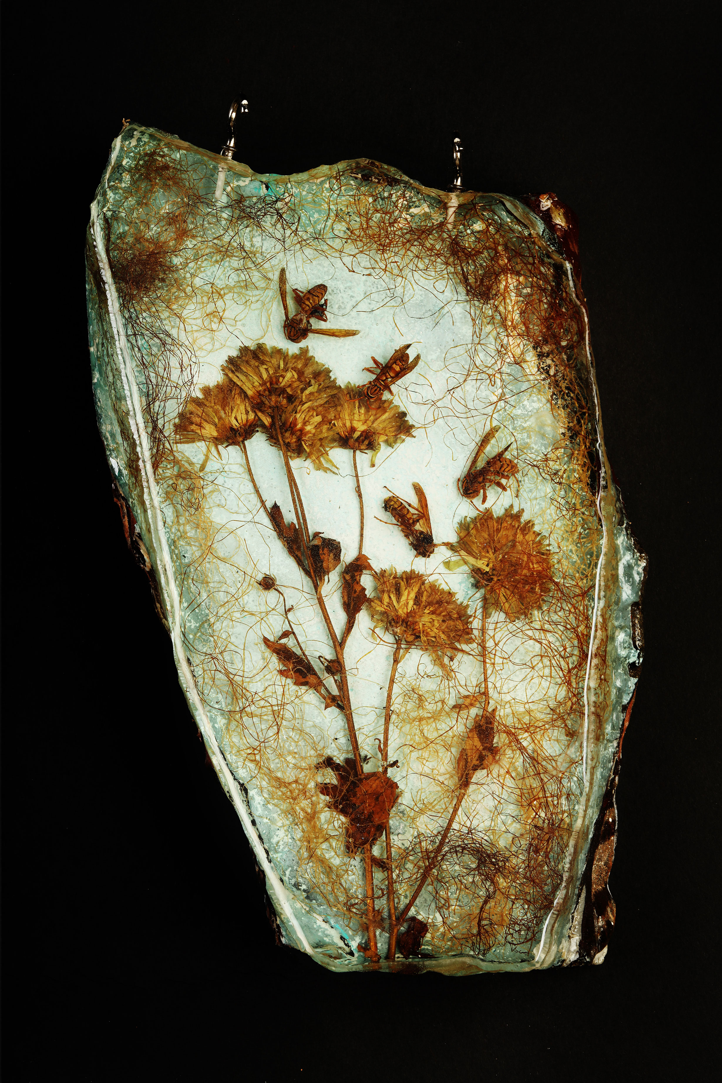  Van Gogh’s flowers 1.3, Found insects, flowers and resin, on broken wall pieces, 12 x 36 inch approx