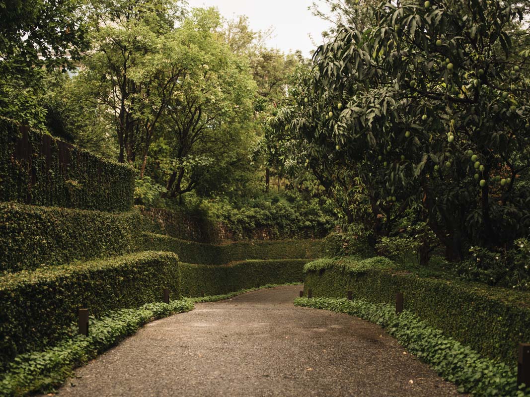 (Photo: Vana Retreat)