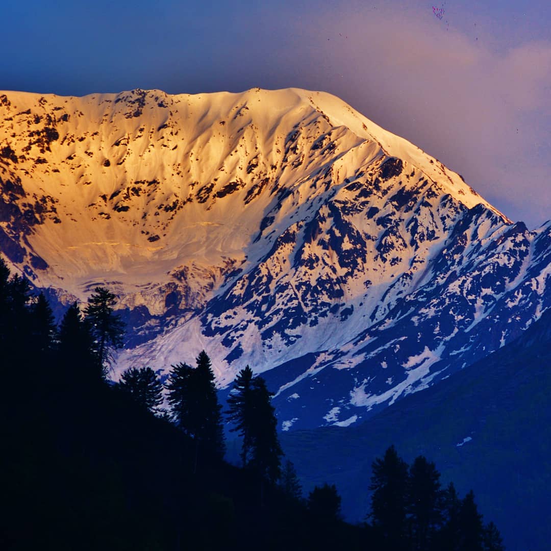 Pic: rambling_in_the_woods/Instagram