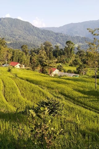 Himalayan village hike & Nepali lunch - Kalimpong
