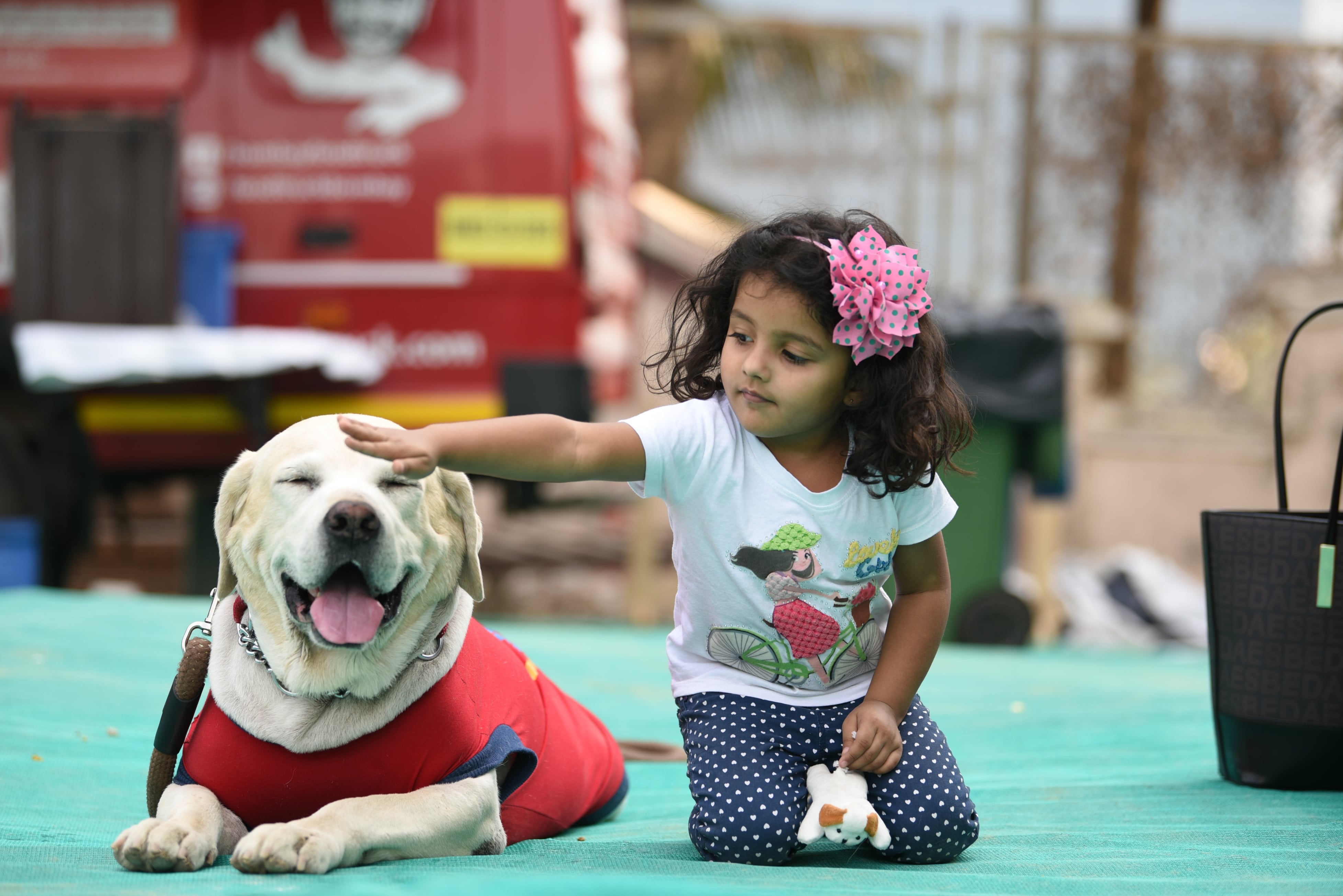 A dog and kid at the Pet Fed
