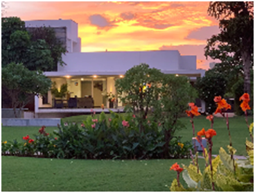  Is wine from the Vineyards on your mind? Explore the Beauty of Homegrown Wine in Nashik, Maharashtra