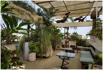 Winter Garden Studio