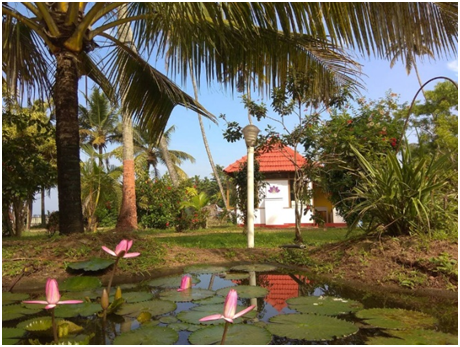 Immerse yourself at the Sambodhi Yoga Retreat, Alappuzha, Kerala