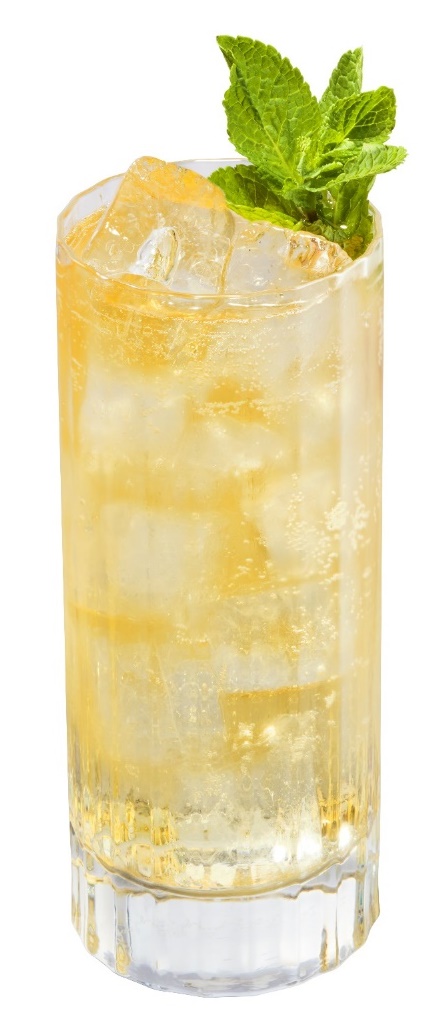 GLENMORANGIE X INDIA