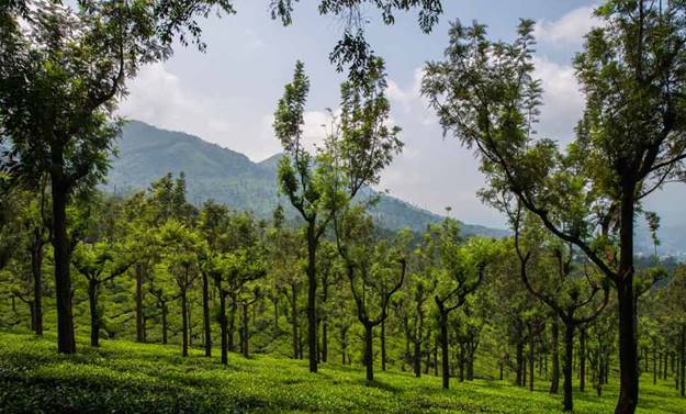  Republic Day – January 23 - 26 (Saturday to Tuesday; take an off on Monday) 