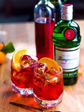 NEGRONI RECIPE                                                                                                                                  