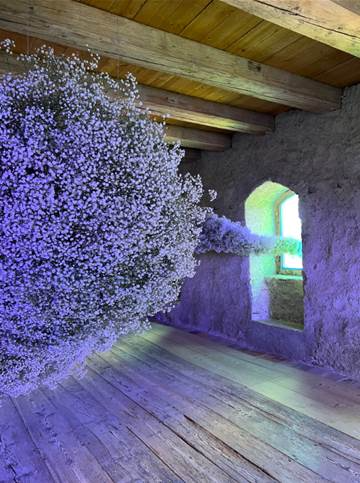 Swiss Art Night: SwitzerlandIndia In Bloom