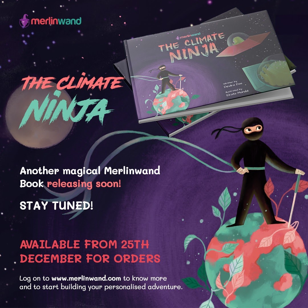 the climate ninja