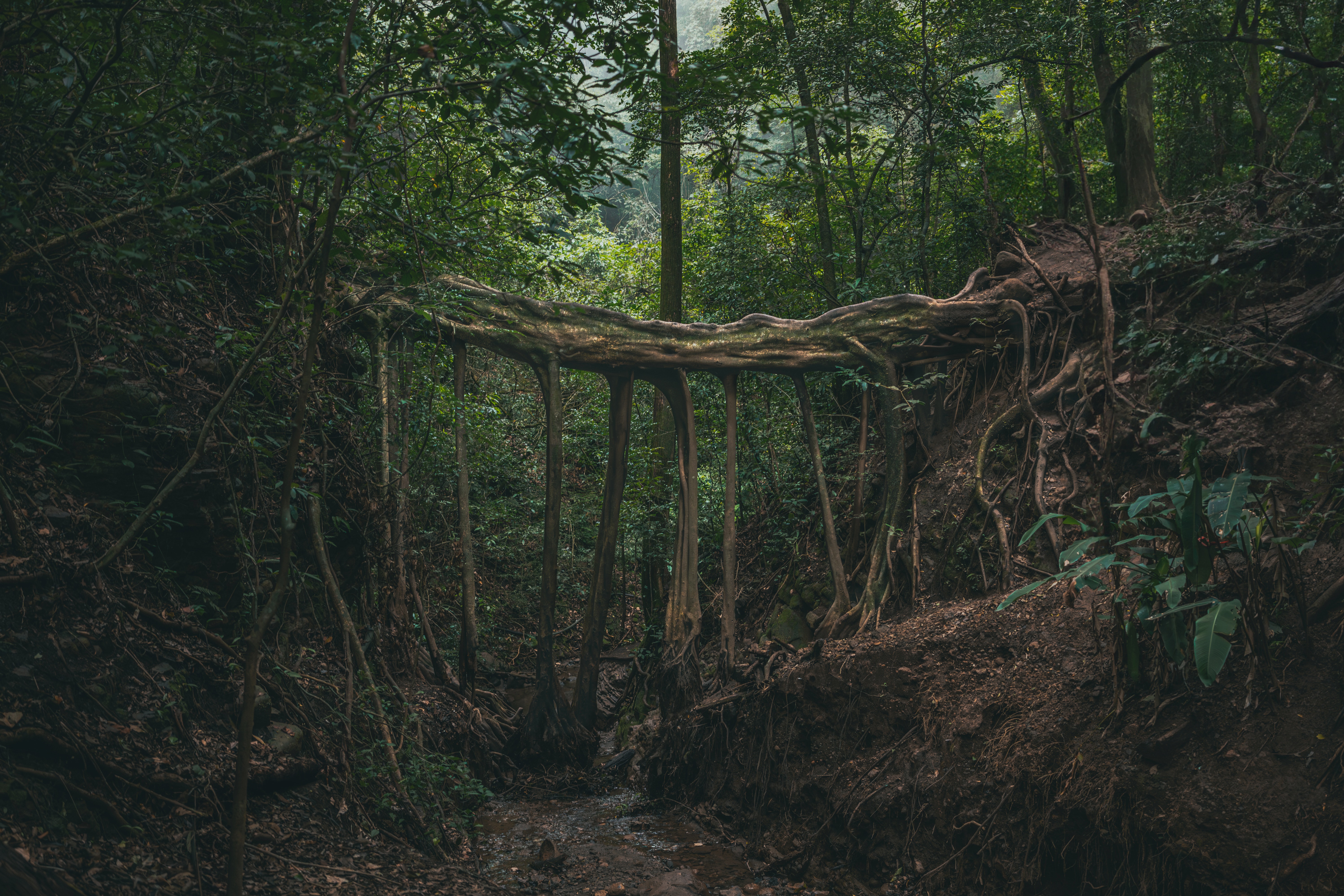 Rep Pic (Photo: Pexels)