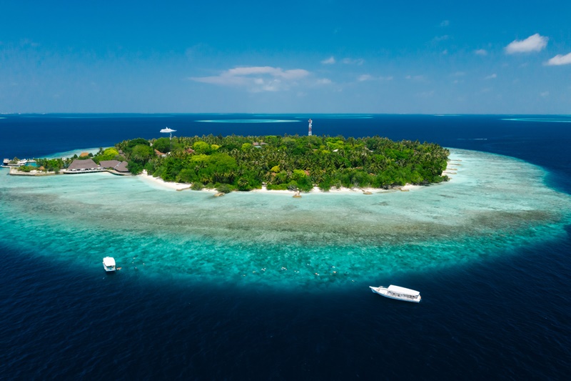 Rep Pic (Photo: Pexel)