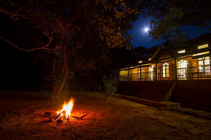 A ROAD TRIP TO NATURE