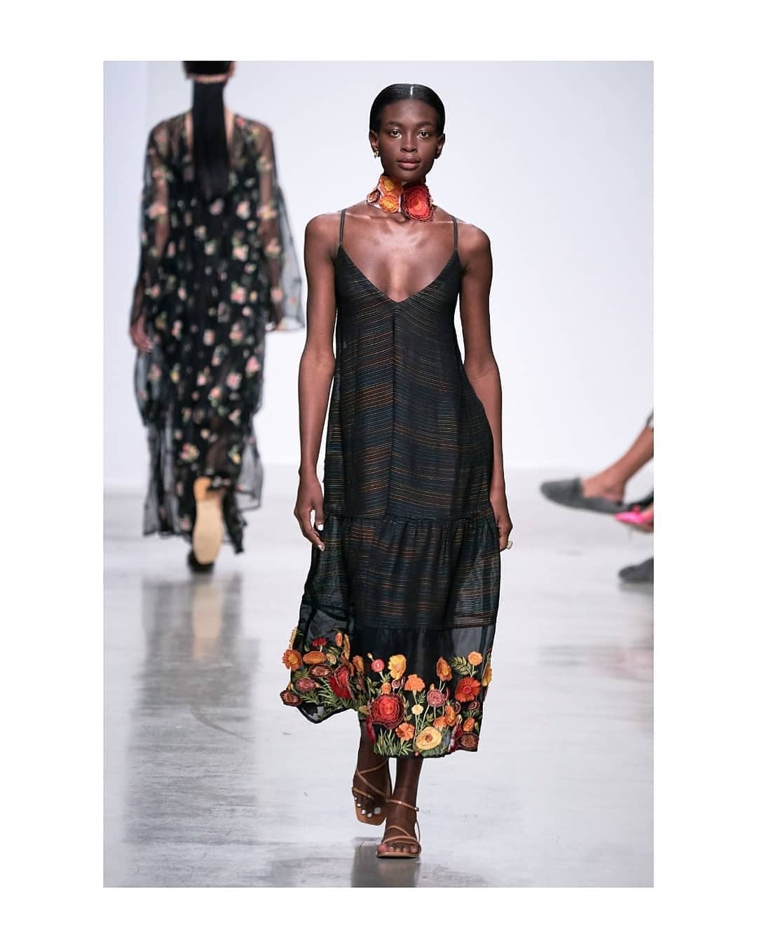 (Photo: rahulmishra/Instagram)