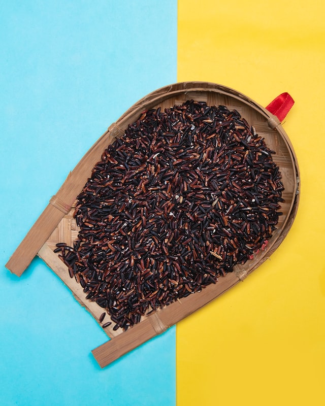 Photo by Sanjoy Sadhukhan on Unsplash