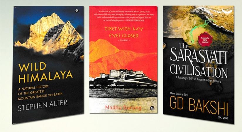 A Natural History of the Greatest Mountain Range on Earth by Stephen Alte