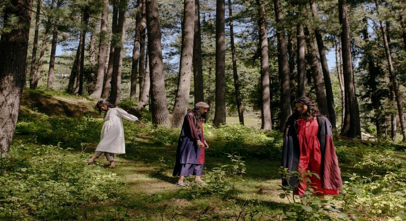 Rina Singh's latest collection 