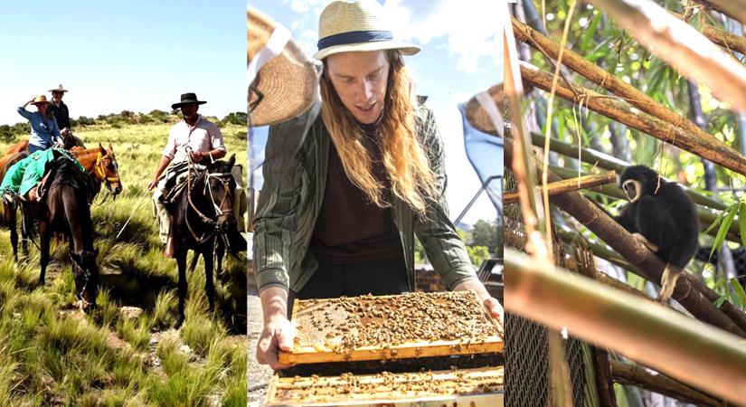 New milestone in animal tourism