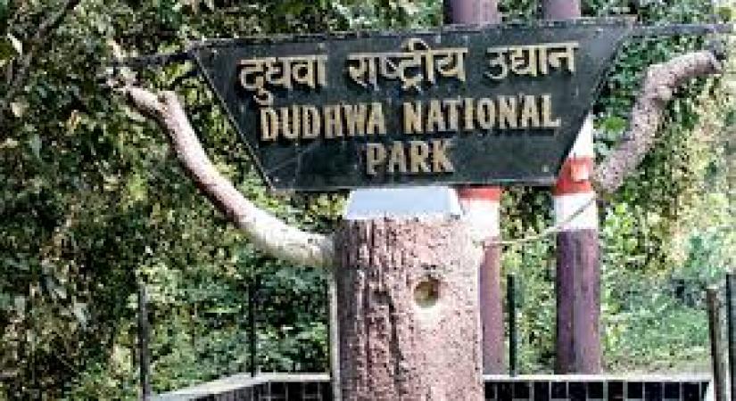 Dudhwa National Park