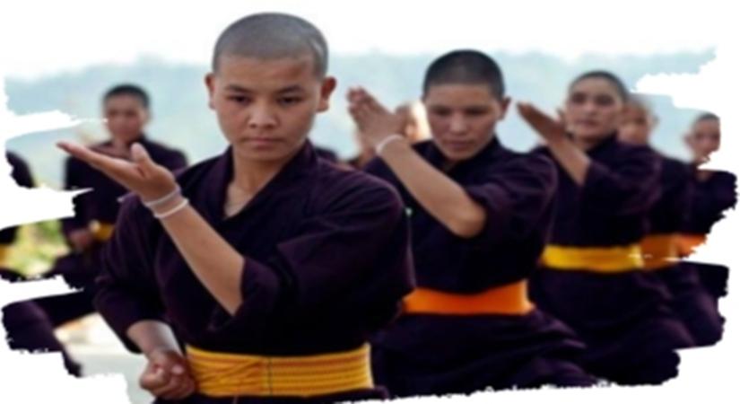 Kung fu nuns of the Drukpa lineage based in Leh have been awarded the prestigious Asia Game Changers Award by the Asia Society in New York for inspiring and applying their unique talent to make the world a better place.