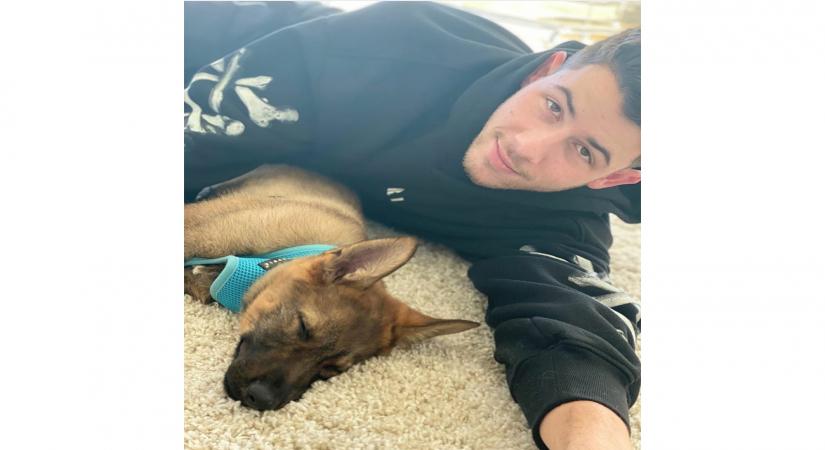 Priyanka Chopra surprises Nick with a pup.