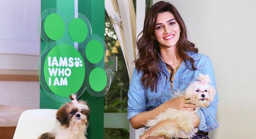 (Photo: kritisanon/Instagram)