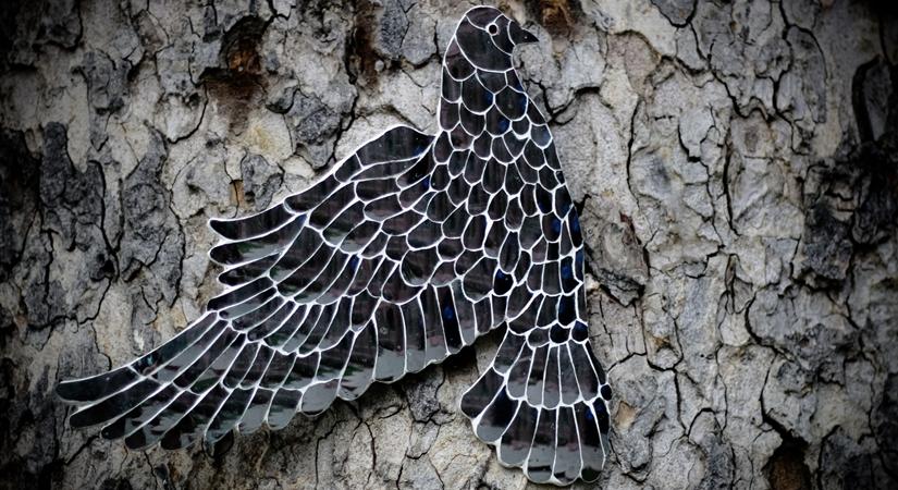 Thikri Dove by Anantaya AKFD