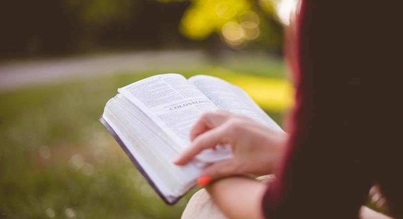 Books to look forward to in 2020