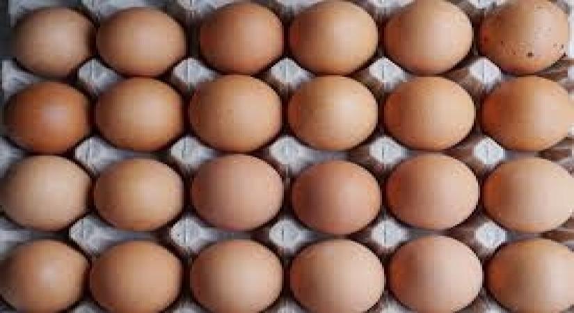 Eggs