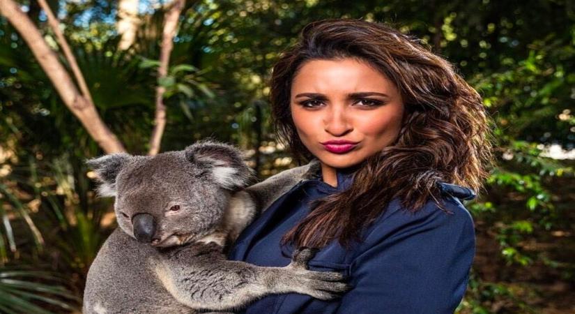 Actress Parineeti Chopra, who is also the first Indian woman ambassador of Tourism AustraliaÃ¢ÂÂs Ã¢ÂÂFriends of AustraliaÃ¢ÂÂ programme, has raised an alarm regarding the South Australia bushfires. Parineeti took to Instagram to share a few pictures with wild animals in Australia