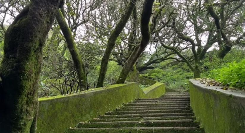 Stairs to Gaumukh Temple