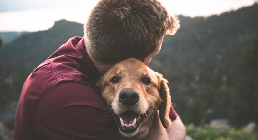 Now, ayurvedic care for your pets