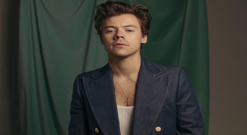 Singer Harry Styles