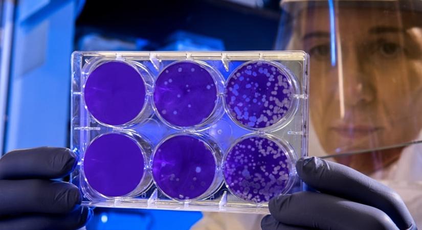 Rare Disease Day: Are they are common than you think?