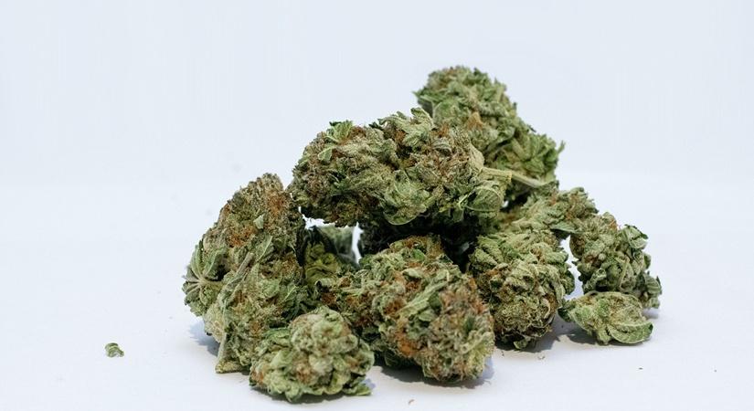 Does smoking marijuana affect your sperm count?