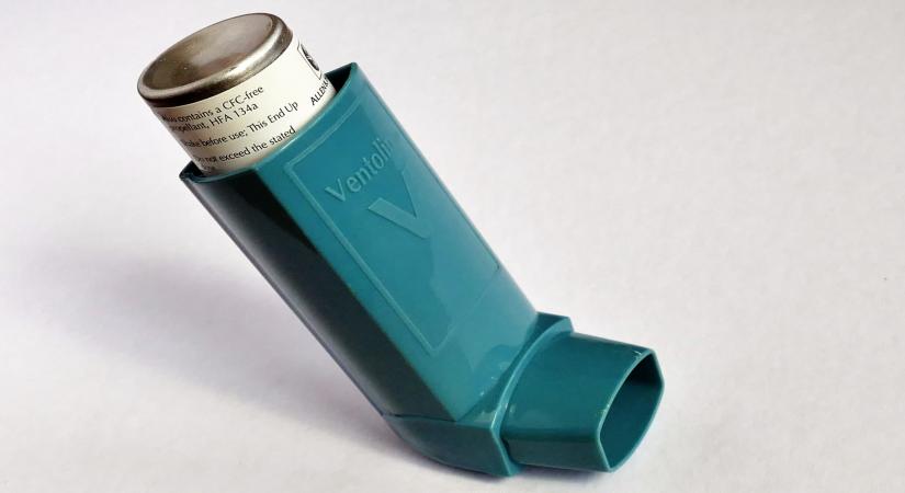 New York, March 28 (IANS) Suffering from asthma? Read this carefully. Following a plant-based diet can help prevent and manage asthma, while dairy products and high-fat foods raise the risk, a new study suggests.