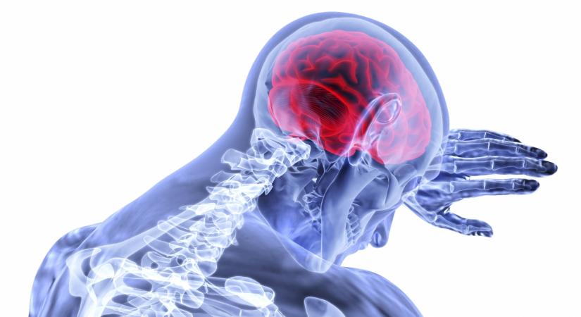 People continuously exposed to air pollution are at increased risk of dementia, especially if they also suffer from cardiovascular diseases, warn researchers.