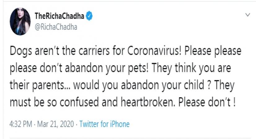 Amid the coronavirus pandemic, a lot of rumours and myths have found way into our WhatsApp inboxes. One such unfounded rumour links the disease to pets, which in turn has given rise to the trend of people abandoning pets.