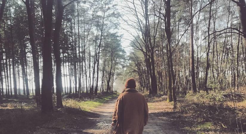 Showing resilience through self-regulation  