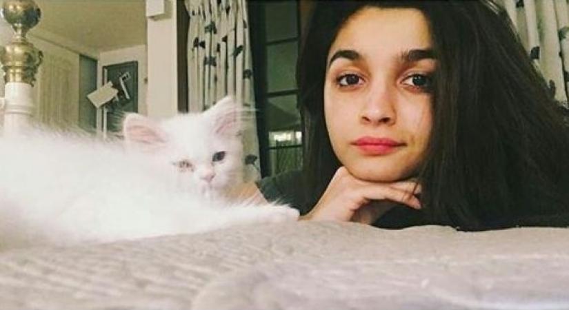 Actress Alia Bhatt has a white persian cat, whom she has named Edward. She constantly gives sneak peek into her kitty's life through his profile "bhattedward". Edward's bio reads: "Momma's boy @aliaabhatt. Eddiiee..."