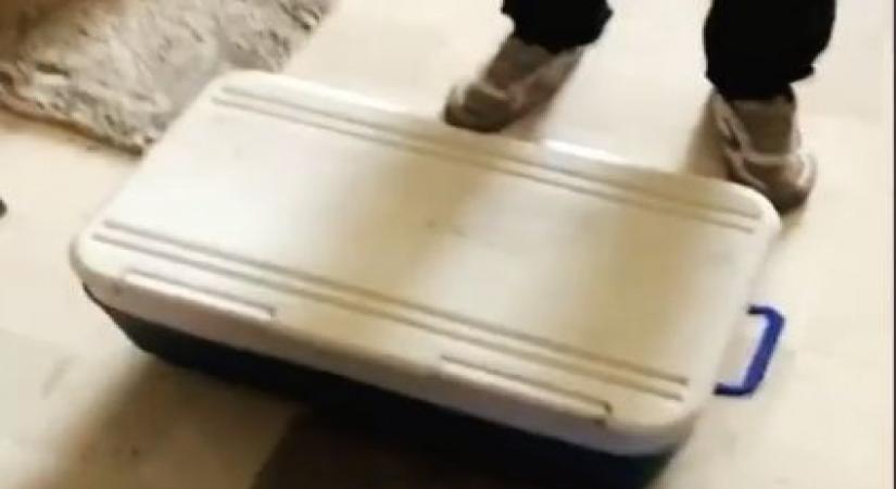 Filmmaker Karan Johar sent a box full of ice cream as a "sweet" surprise for Kartik Aaryan.  The actor joked that he would sell a scoop for over a whopping Rs 2,00,000. Kartik on Sunday night took to Instagram, where he shared a video on receiving the box full of ice-cream.